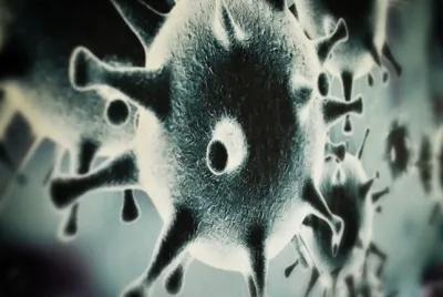 Virus poster2
