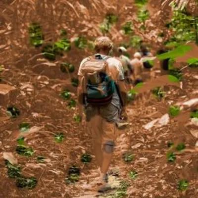 Jumanji poster2