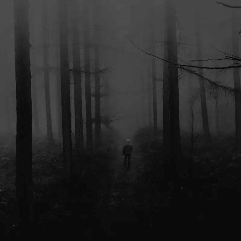 Il Mistero della Palude